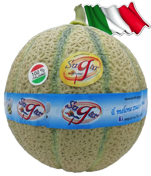 Melone Sugar Italiano Melone Sugar Italiano