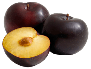 susine susine